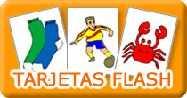 TARJETAS FLASH